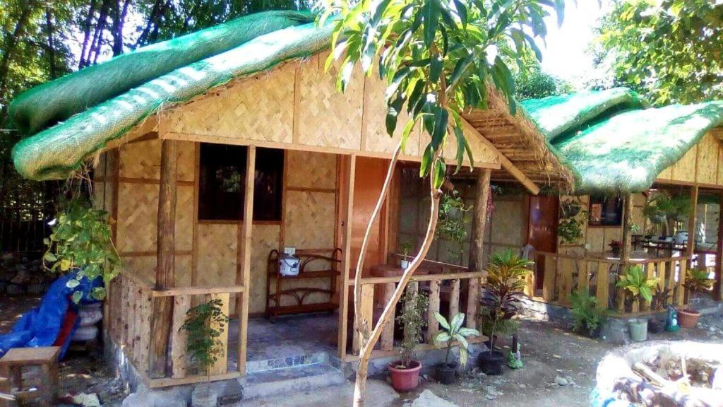 Traditional Filipino Transient House And Huts Near 100 Islands Wharf Alaminos Exterior foto